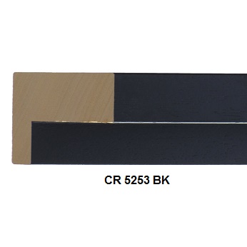 CR5253BK