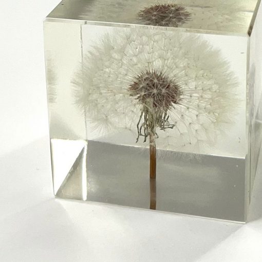 Dandelion Paperweight