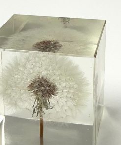 Dandelion Paperweight