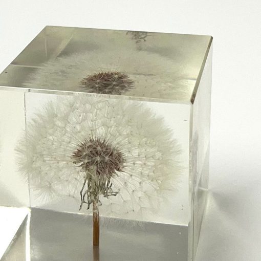 Dandelion Paperweight