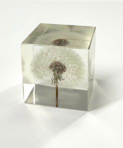 Dandelion Paperweight