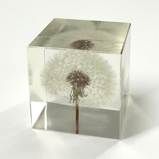 Dandelion Paperweight